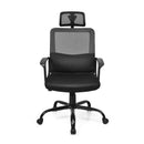 Ergonomic Mesh Office Chair with Massage Lumbar Support for Office