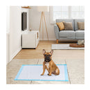 150 Pieces Training Pee Pads With Super Absorbent For Doggies