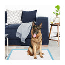 150 Pieces Training Pee Pads With Super Absorbent For Doggies