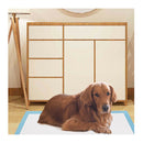 150 Pieces Training Pee Pads With Super Absorbent For Doggies