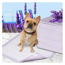 Pet Dog Toilet Training Pad