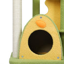 Cat Tree Kitten Furniture