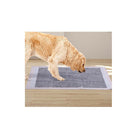 100Pcs 60X60Cm Charcoal Pet Puppy Training Pads