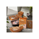 Tofu Cat Litter Clumping Peach