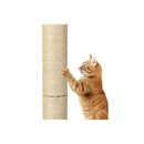 Cat Scratching Post For Large Cats
