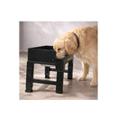 Elevated Dog Bowls Pet Feeder Food Water Large