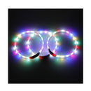 2 X Small 40CM LED Dog Collar USB Rechargeable Night Glow Flashing Light Up Safety Pet Collars