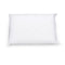 Luxurious Memory Foam Water Pillow 46 x 66 cm
