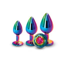 Trainer Kit Multicolor With Rainbow Metallic Butt Plugs Set Of 3 Sizes
