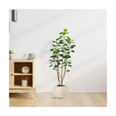 2 Pcs 150Cm Green Artificial Indoor Pocket Money Tree