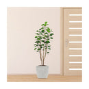2 Pcs 150Cm Green Artificial Indoor Pocket Money Tree
