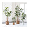 2 Pcs 150Cm Green Artificial Indoor Pocket Money Tree
