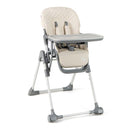 Portable Adjustable Highchair With Footrest And Detachable Tray