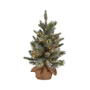 Pre Lit Snowy Stamford Spruce Battery Operated Mini Christmas Tree