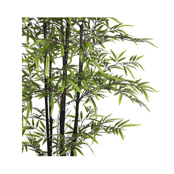 Premium Dense Artificial Black Bamboo
