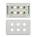Home Theatre 3 Speaker Wall Plate