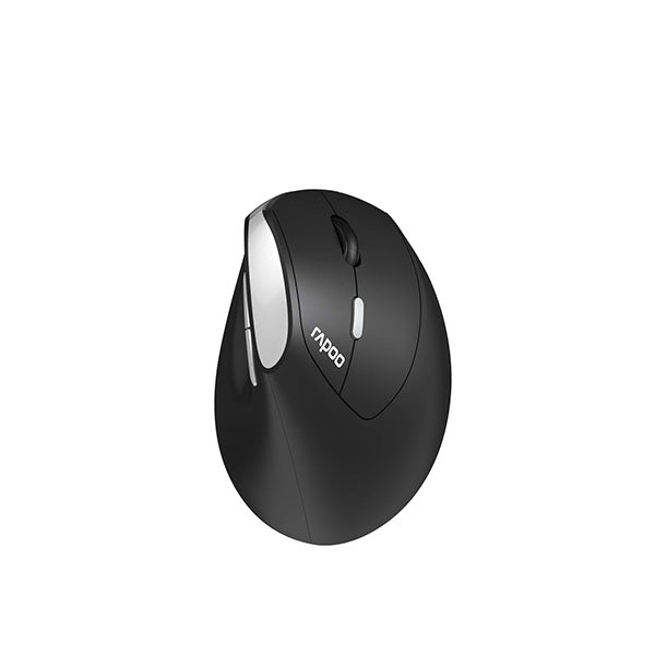 Rapoo Ev250 Ergonomic Vertical Wireless Mouse