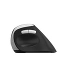 Rapoo Ev250 Ergonomic Vertical Wireless Mouse