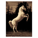 Rubi Rug 120X170 Cm