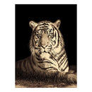 Rubi Tiger Rug