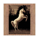 Ruben Horse Rug 200X290Cm