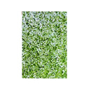 Noblesse Rug 160 X 230