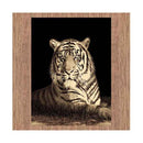 Ruben Tiger Rug 160X230Cm