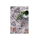 Alma Border Floral Traditional Grey Multi Rug