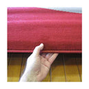 Robin Red Spiral Rug