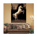 Ruben Horse Rug 200X290Cm