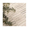 Santiago Lines Neutral Rug