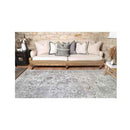 Desiree Vintage Chilaz Grey Vital Rug