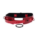 S And M Exs And Ohs Bound And Belted Red Bondage Belt