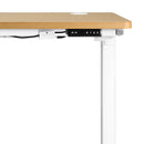 Standing Desk Electric Height Adjustable Motorized Sit Stand Desk