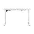Standing Desk Electric Height Adjustable Motorized Sit Stand Desk