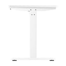 Standing Desk Electric Height Adjustable Motorized Sit Stand Desk