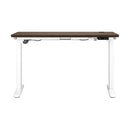 Standing Desk Electric Height Adjustable Motorized Sit Stand Desk