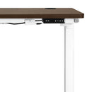 Standing Desk Electric Height Adjustable Motorized Sit Stand Desk