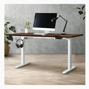 Standing Desk Electric Height Adjustable Motorized Sit Stand Desk