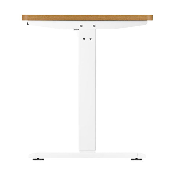 Standing Desk Electric Height Adjustable Motorized Desk