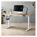 Standing Desk Electric Height Adjustable Motorized Desk