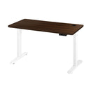 Standing Desk Electric Height Adjustable Motorized Desk