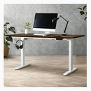 Standing Desk Electric Height Adjustable Motorized Desk