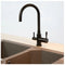 Otto Stainless Steel Kitchen Mixer Tap with Filtered Water Outlet Black