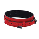 Sex And Mischief Amor Collar And Leash Red Restraint