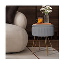 Side Table Storage Ottoman Velvet Stool Footstool Remy