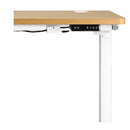 Sit Desk Motorized Standing Desk Adjustable Table 160Cm Length