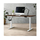 Sit Desk Motorized Standing Desk Adjustable Table 160Cm Length