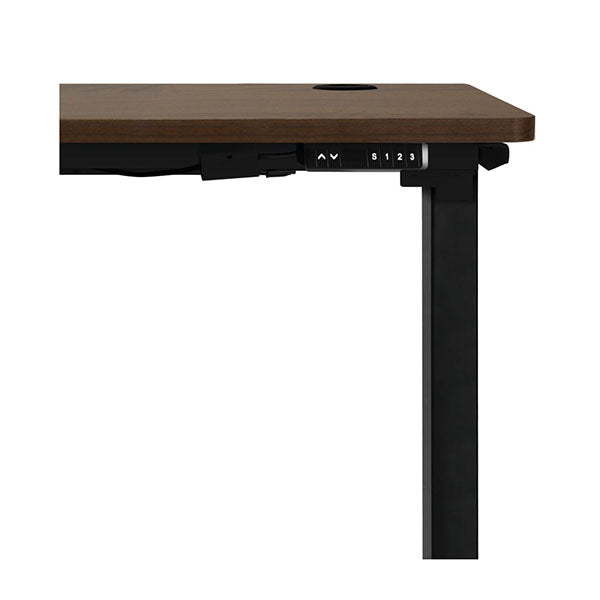 Sit Stand Desk Motorized Standing Desk Adjustable Table 160Cm Length