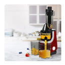 Cold Press Slow Fruit Juicer